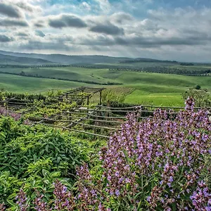 Le Tassinaie Bed & Breakfast